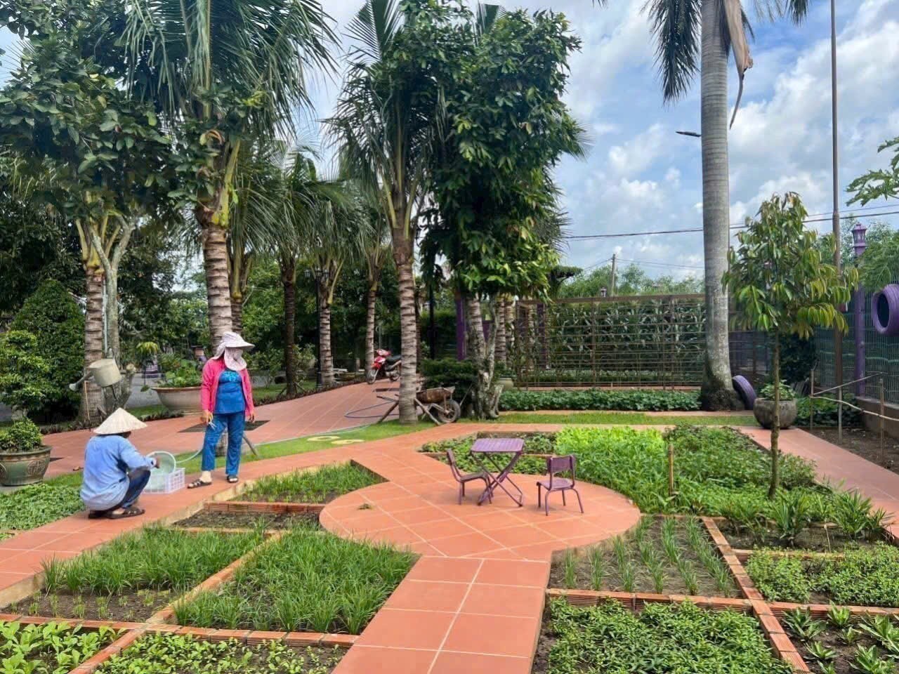 BÌNH MỸ – “NHÀ VƯỜN MÀU TÍM” 3.000M² NGỘP NGÂN HÀNG – GIẢM SỐC 2 TỶ 4