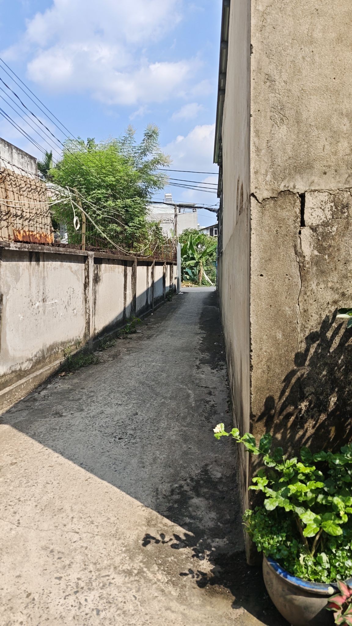 Cần bán Đất Phường Linh Đông, Thủ Đức, Diện tích 98m², Giá 02.5 Tỷ 3