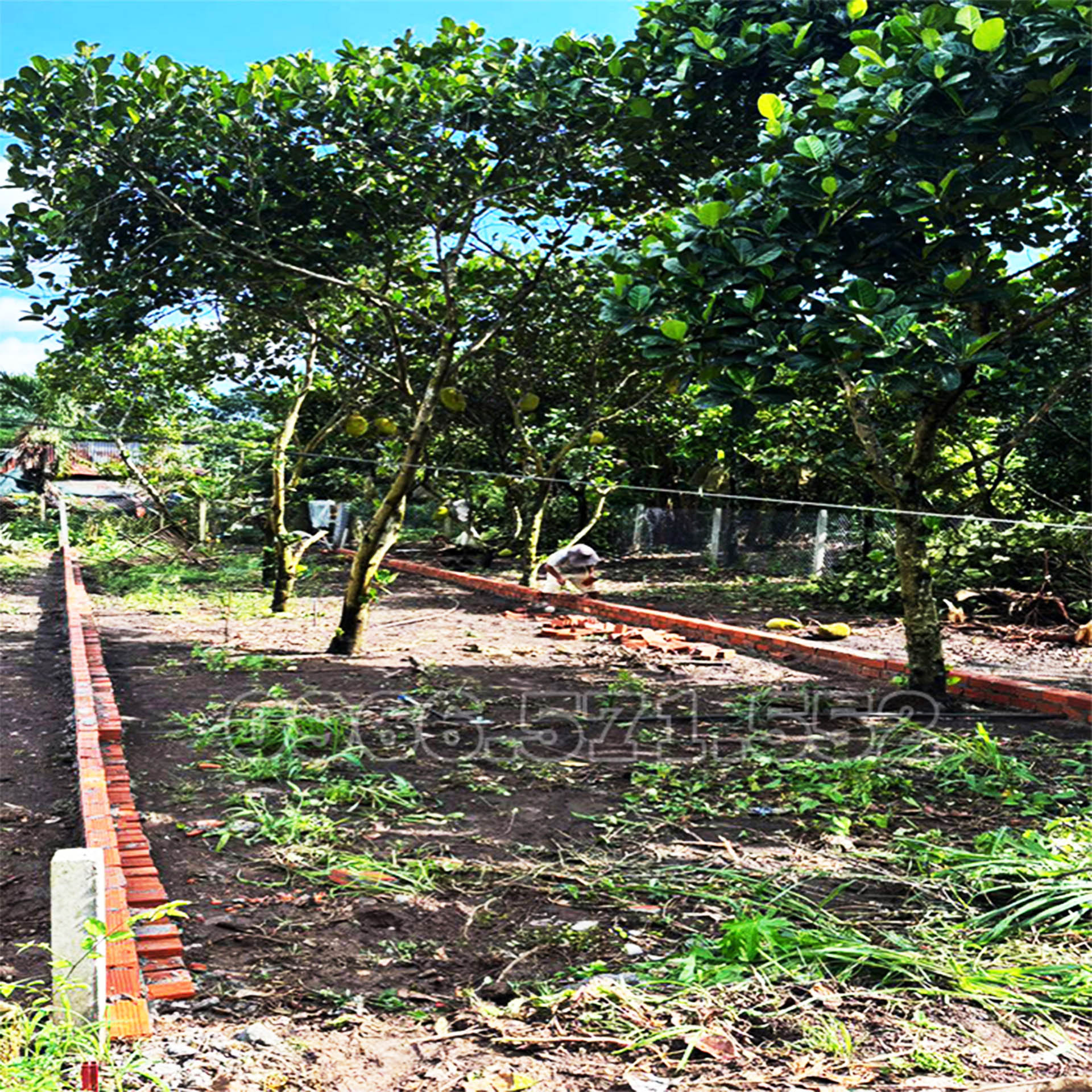 NGAY NGÃ 3 ÔNG PHÚC, P BẢO VINH, ĐN | 5M×24,8M, SỔ RIÊNG, FULL THỔ CƯ | GIÁ ĐẦU TƯ!