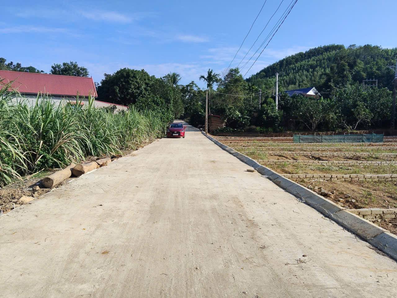Cần bán Đất Thạch Thành, Thanh Hóa, Diện tích 120m², Giá 200 Triệu 3