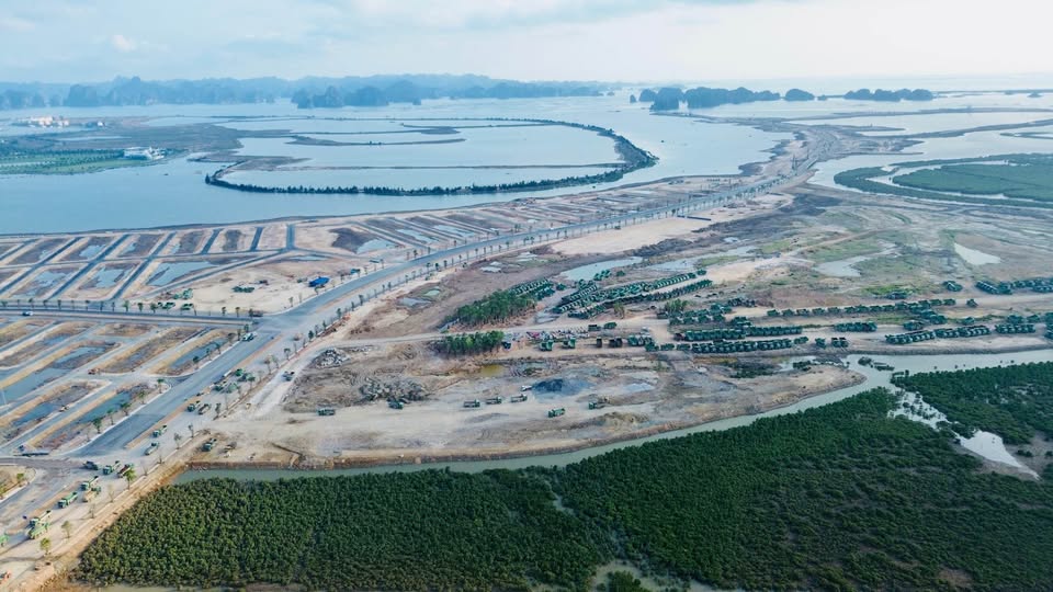 Sở hữu Quỹ căn liền kề siêu đẹp 60m mặt tiền 5m đầu tiên tại Vinhomes Hạ Long Xanh 8
