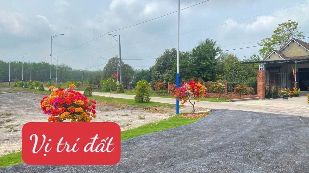 Chỉ 550 triệu – không cần tiền tỷ vẫn mua được đất! 2