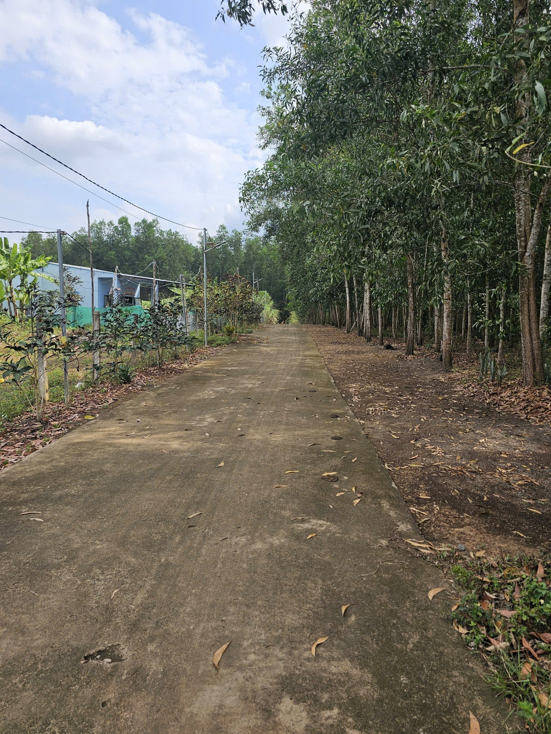 Bán đất Diên Xuân giá rẻ full thổ cư gần cổng chào thôn Xuân Tây - đường rộng 7m 6