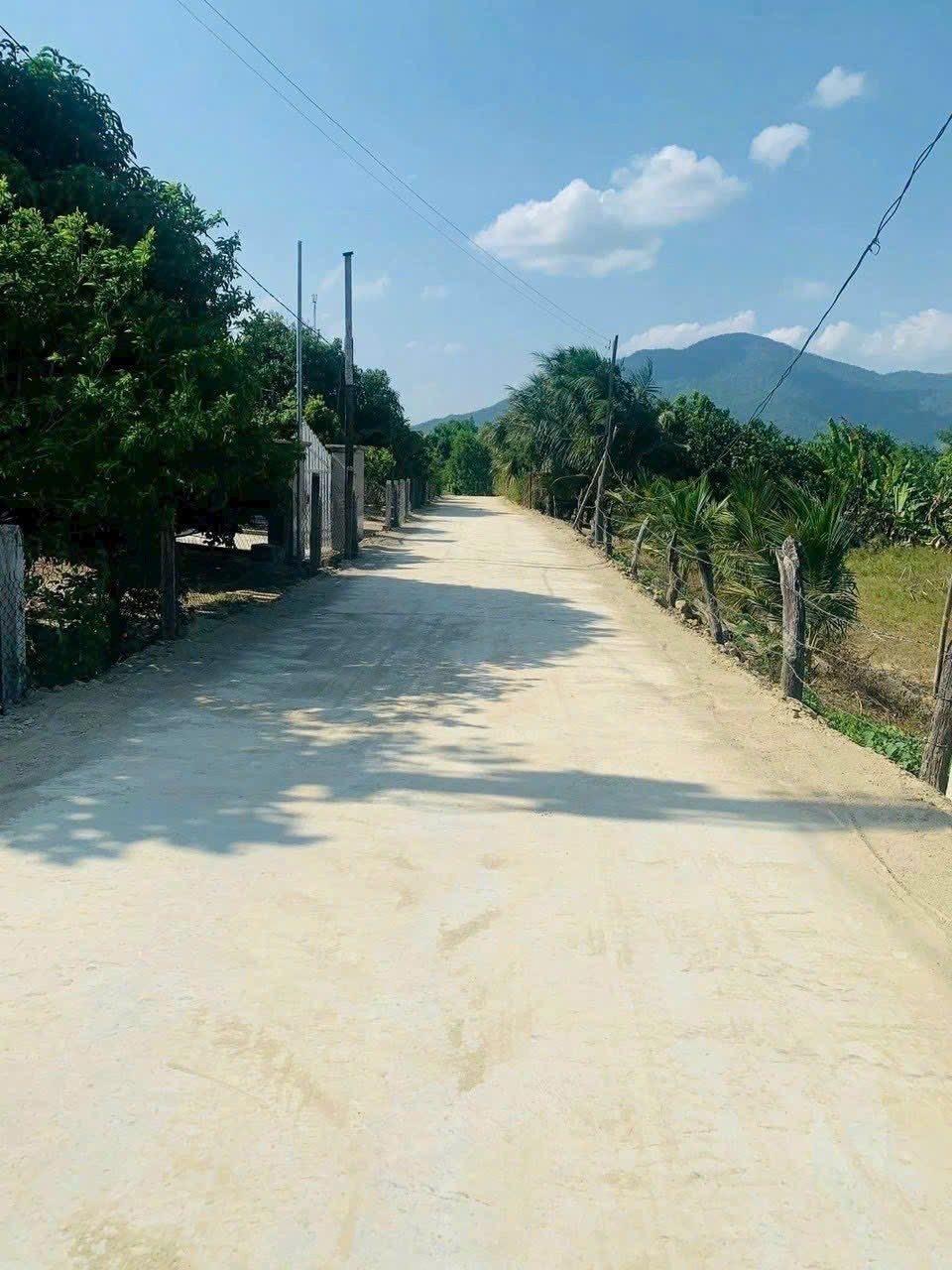 Bán đất Diên Thọ thôn Cẩm Sơn giá rẻ cách Tỉnh Lộ 2 chỉ vài bước chân 3