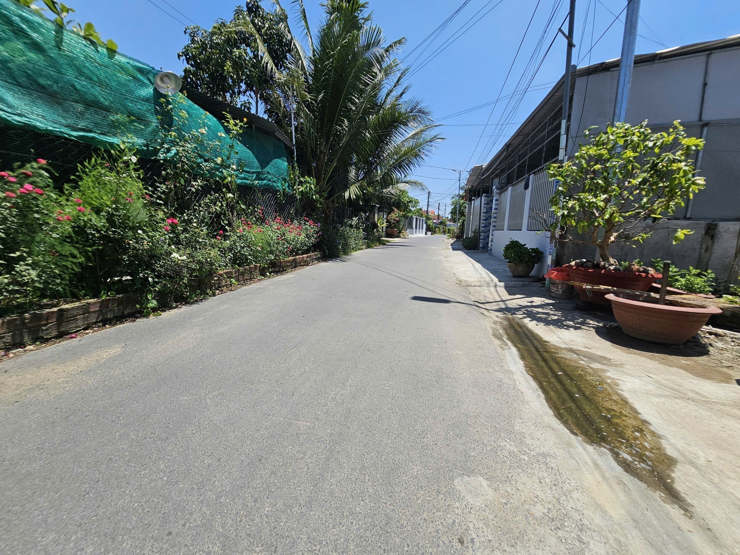 Bán đất Diên Phước mặt đường nhựa thông đường An Định và Tỉnh Lộ 2 -gần bệnh viện tâm thần 4