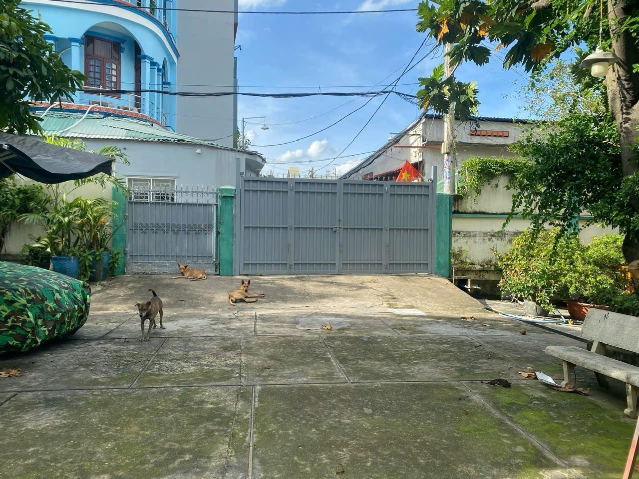 SIÊU BIỆT THỰ + QUỸ ĐẤT 1.090M² – GIẢM SỐC GẦN 30 TỶ – NGAY NGUYỄN VĂN QUÁ 4