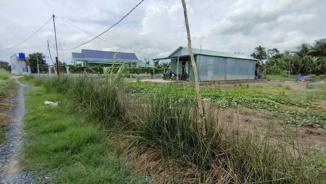 Bán 1000m2 đất lúa đường đá xanh xe hơi tới đất xã Nhựt Chánh , Bến Lức giá 1 tỷ 3