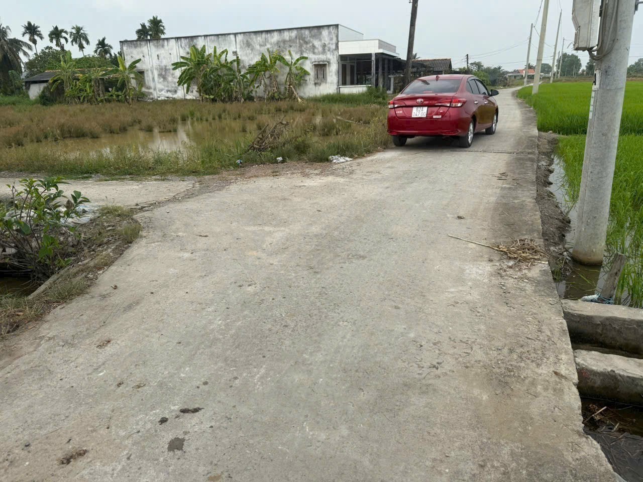 Bán 6 lô thổ cư liền kề mặt tiền đường beton Nguyễn Văn Tiết , Lạc Tấn giá 370tr , 390tr , 450tr 3