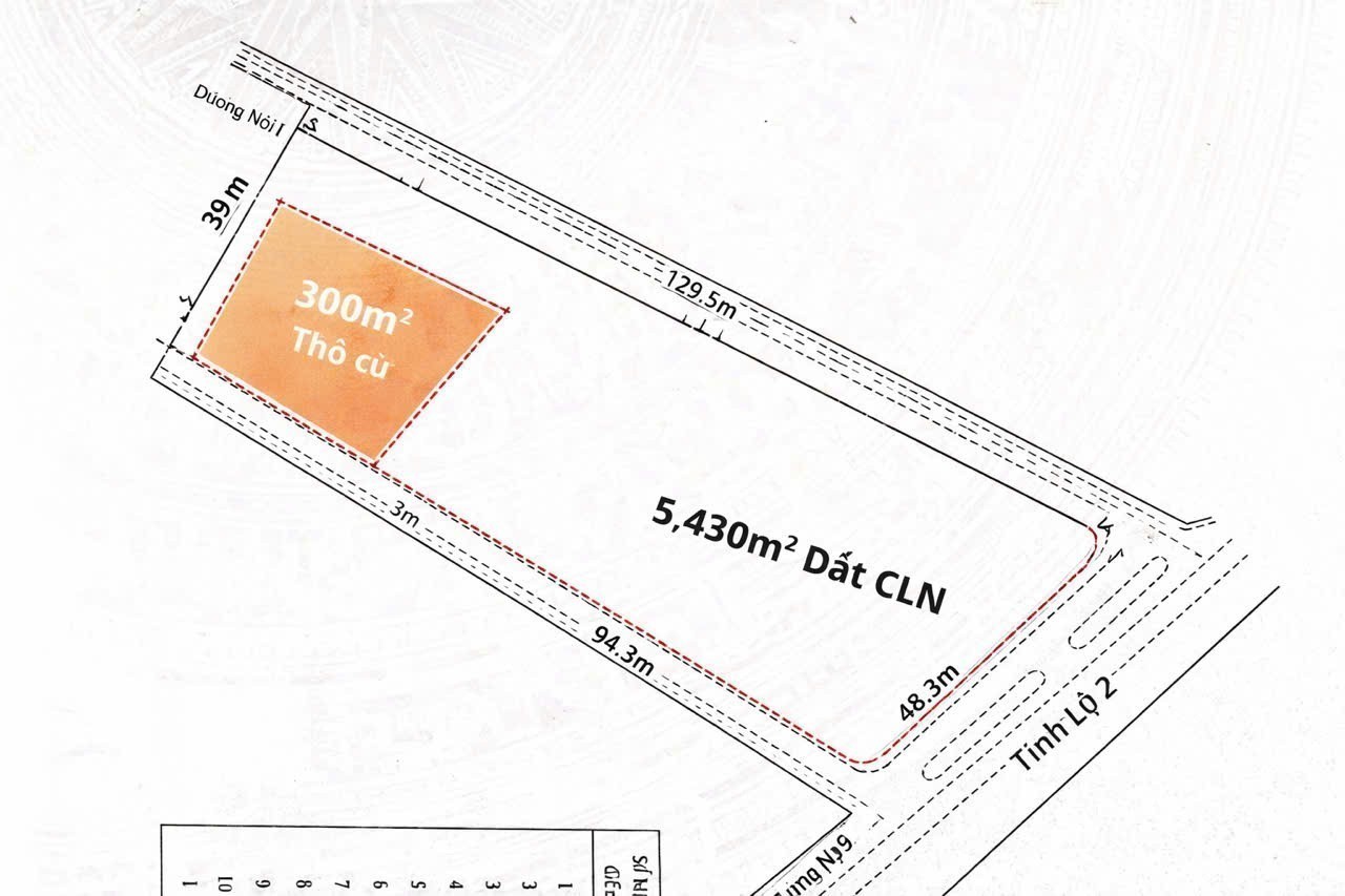 GẤP BÁN 3 MẶT TIỀN TỈNH LỘ 2 – GẦN 6.000m² – SÁT CAO TỐC & VÀNH ĐAI – CHỈ 50 TỶ! 3