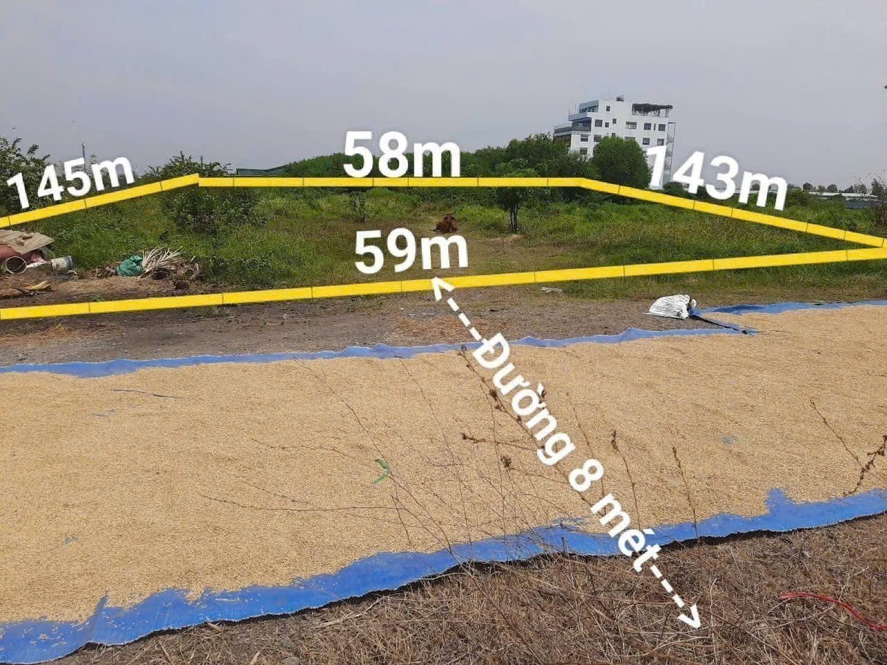 BÁN 7.530M² ĐẤT SXKD CÁCH QL22 170M - TÂN HIỆP, HÓC MÔN GIÁ HỜI 6,8TR/M² 5