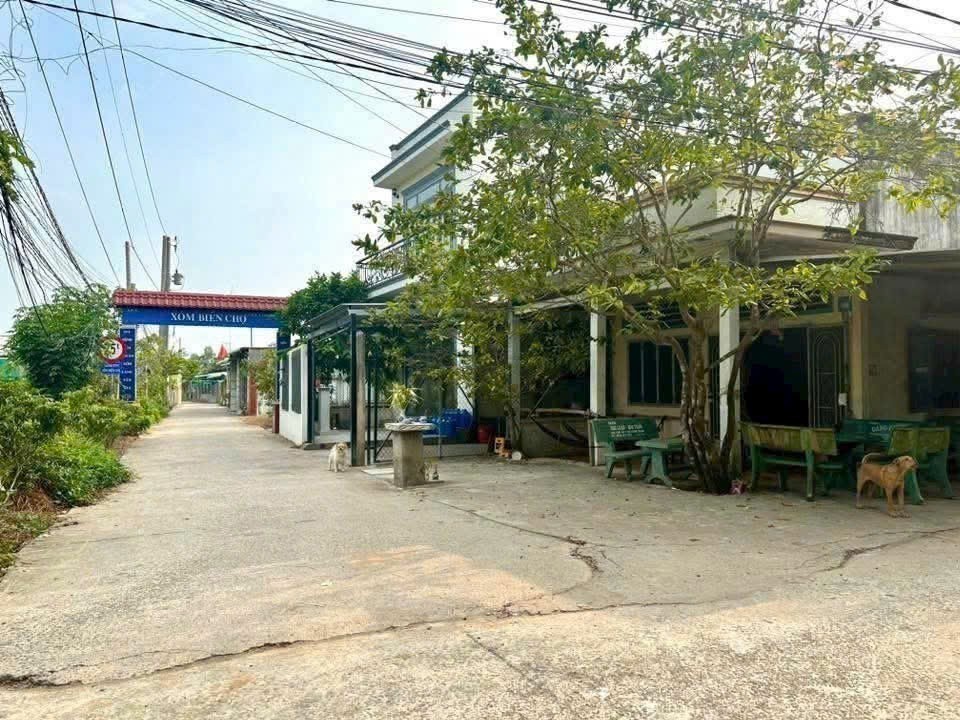 Bán đất thổ cư hẻm beton xe tải Long Định, Cần Đước dt 244,55m2 full thổ giá chốt 1,8 tỷ 3