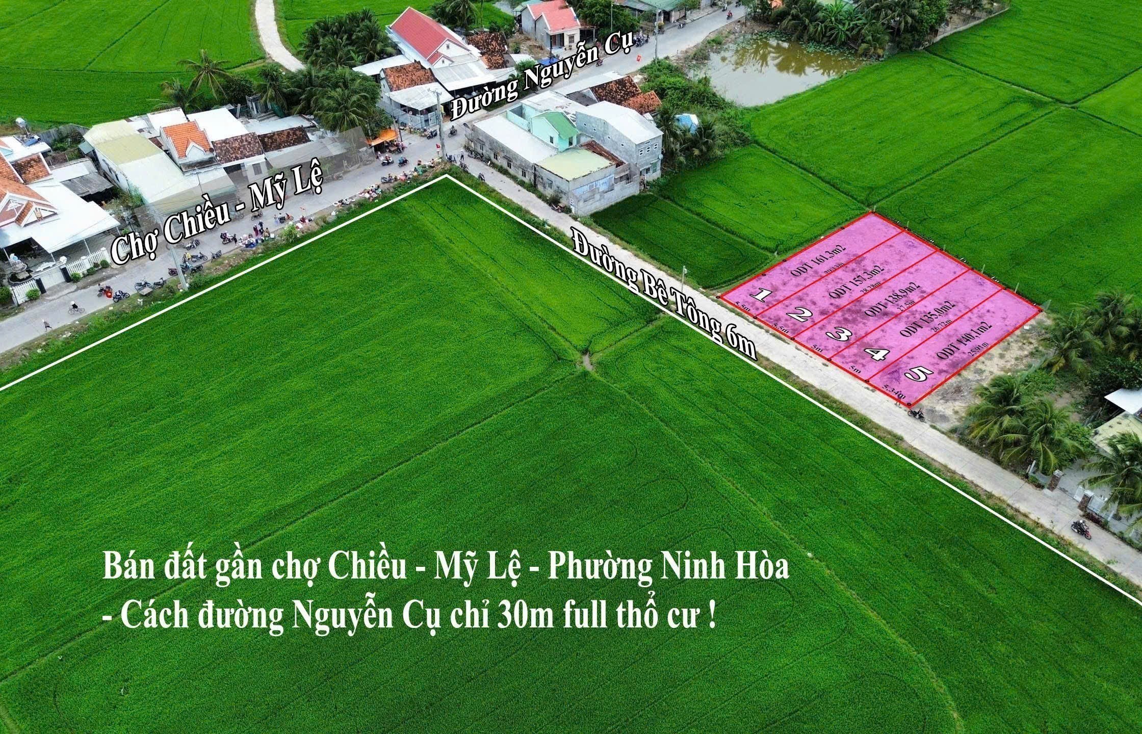 Cần bán Đất Phường Ninh Đa, Ninh Hòa, Diện tích 161m², Giá 966 Triệu 4