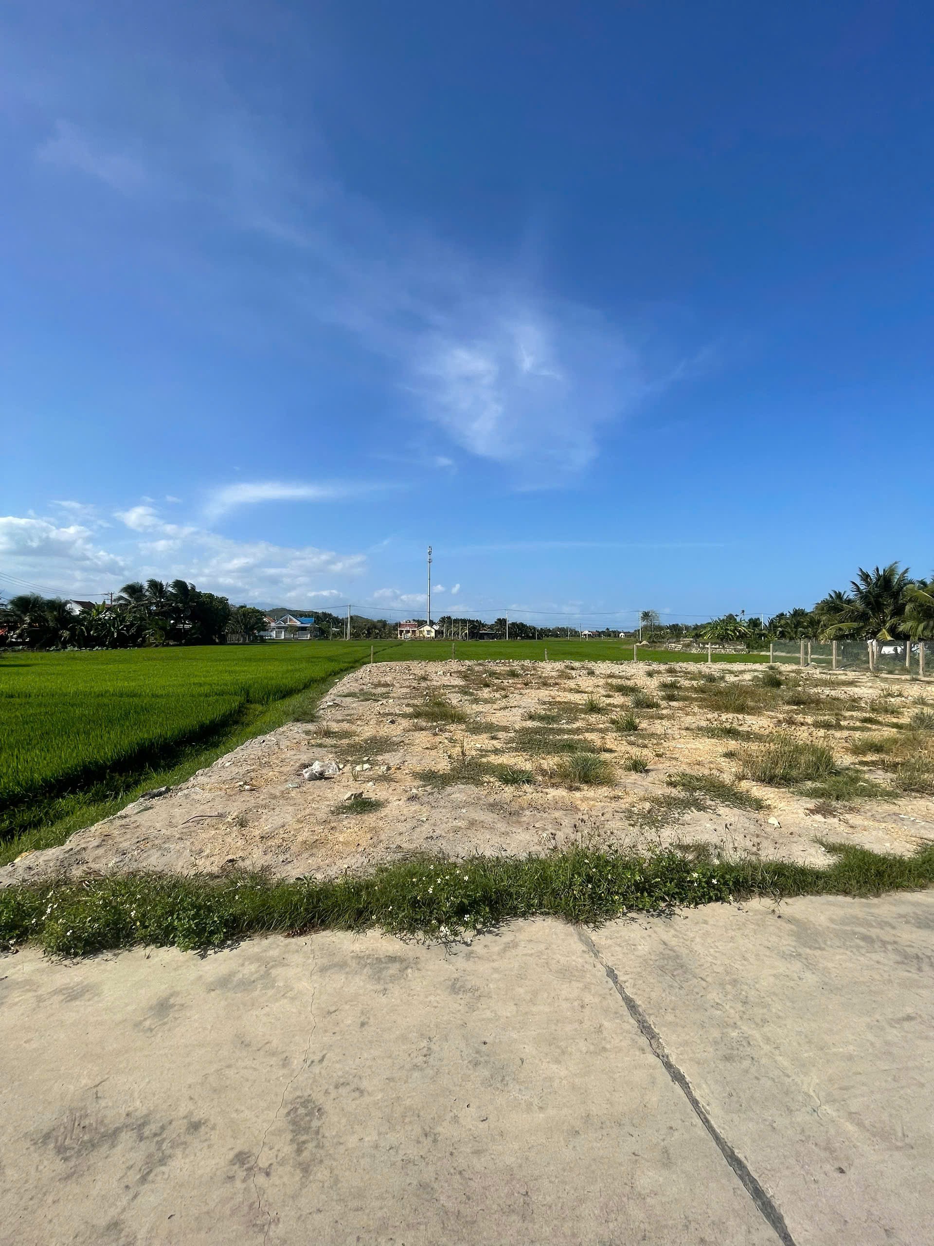 Cần bán Đất Phường Ninh Đa, Ninh Hòa, Diện tích 140m², Giá 840 Triệu