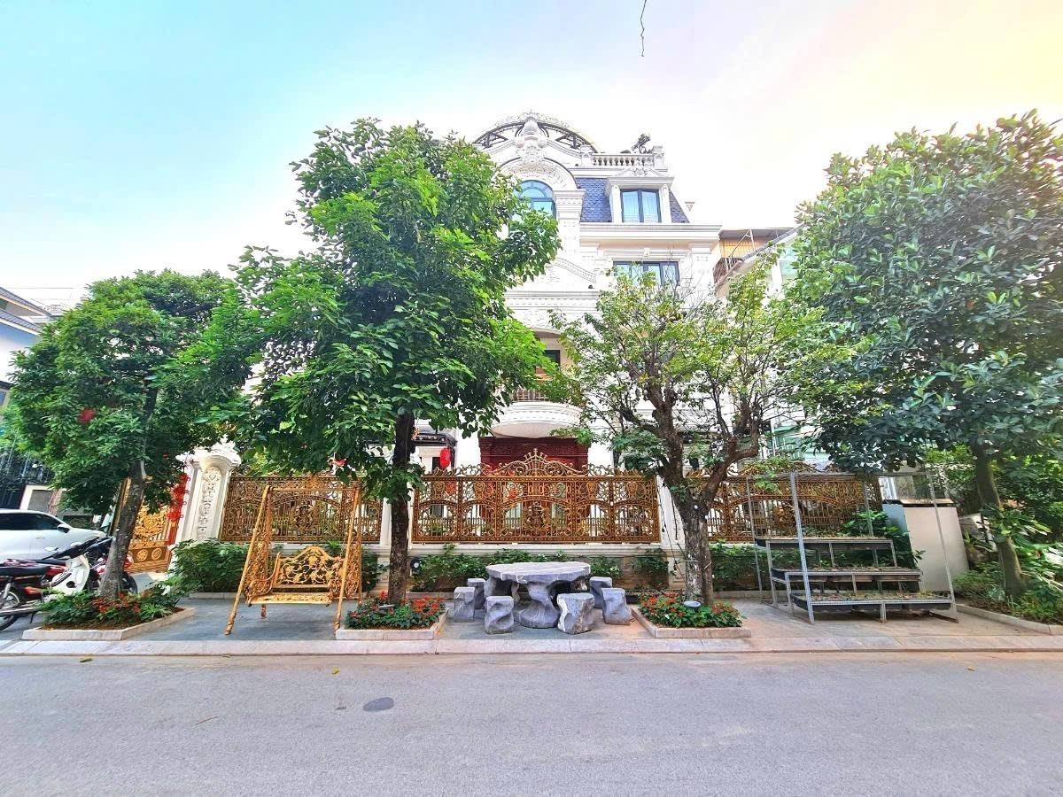SIÊU BIỆT THỰ VIỆT HƯNG - LONG BIÊN, THANG MÁY, NỘI THẤT CAO CẤP NHÀ 4 MẶT TIỀN 3