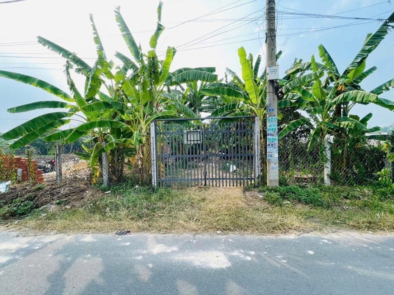Bán đất mặt tiền Trần Quang Đạo , Tân Thông Hội dt 409m2 (200m2) giá 5,7 tỷ