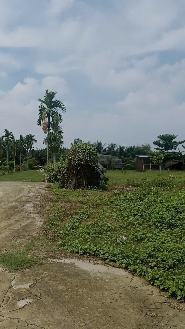 SIÊU PHẨM ĐẤT LỚN CỦ CHI – 1 HECTA CÓ 2.000M² THỔ CƯ – GIÁ CHỈ 27 TỶ 4