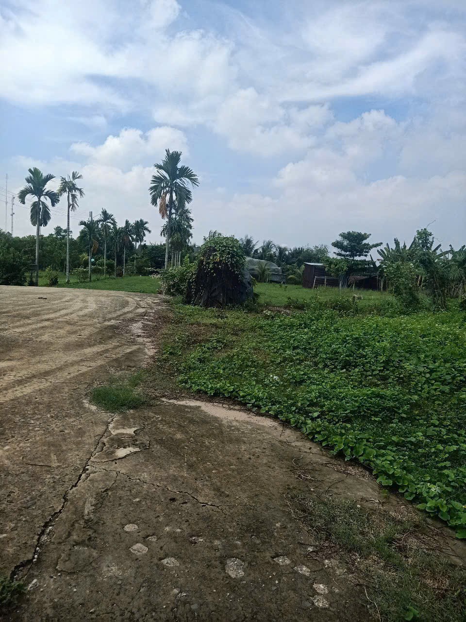 NHÀ VƯỜN 6.400M² – 1.350M² THỔ CƯ – ĐƯỜNG XE TẢI XUÂN THỚI SƠN, HÓC MÔN 5