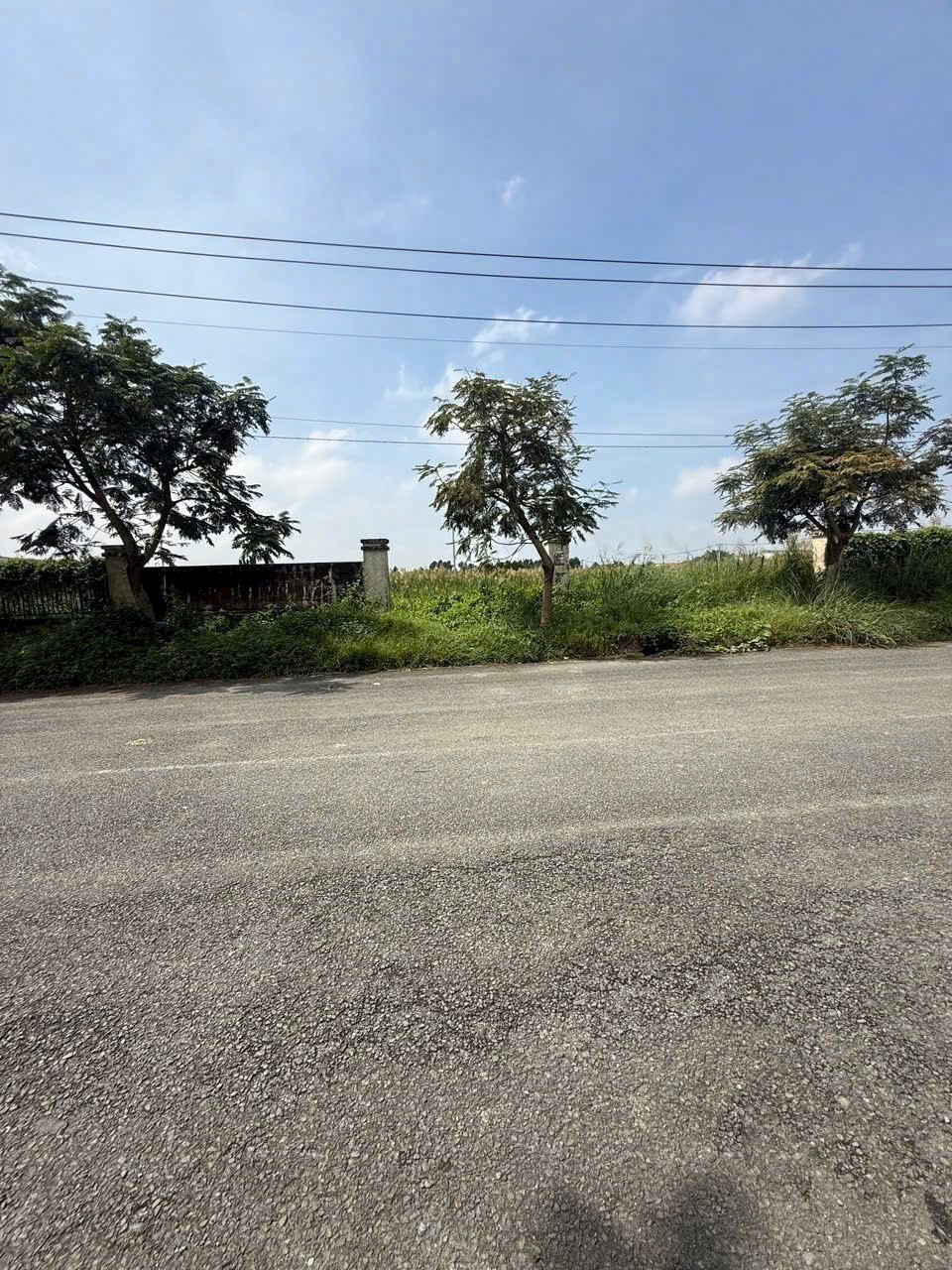 ĐẤT SKC 7.000M² – ĐƯỜNG CONTAINER – XÂY XƯỞNG NGAY TẠI HÓC MÔN 2
