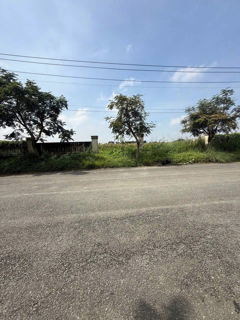 ĐẤT SKC 7.000M² – ĐƯỜNG CONTAINER – XÂY XƯỞNG NGAY TẠI HÓC MÔN 4