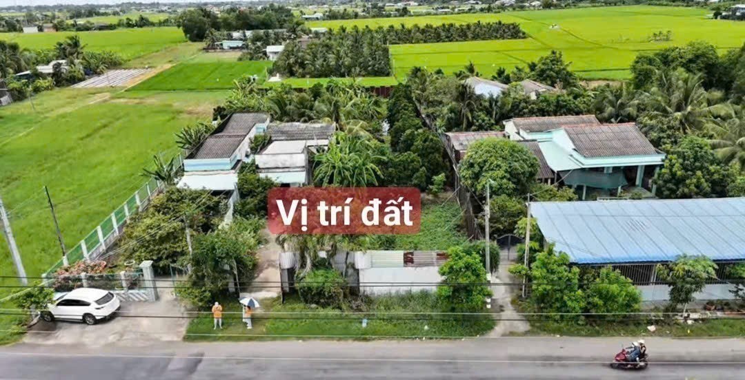 Bán đất tặng nhà cấp 4 hoàn công ĐT 833 tdt 1916m2 ( 300m2 thổ ) Bình Lãng , Tân Trụ giá 6,5 tỷ 6