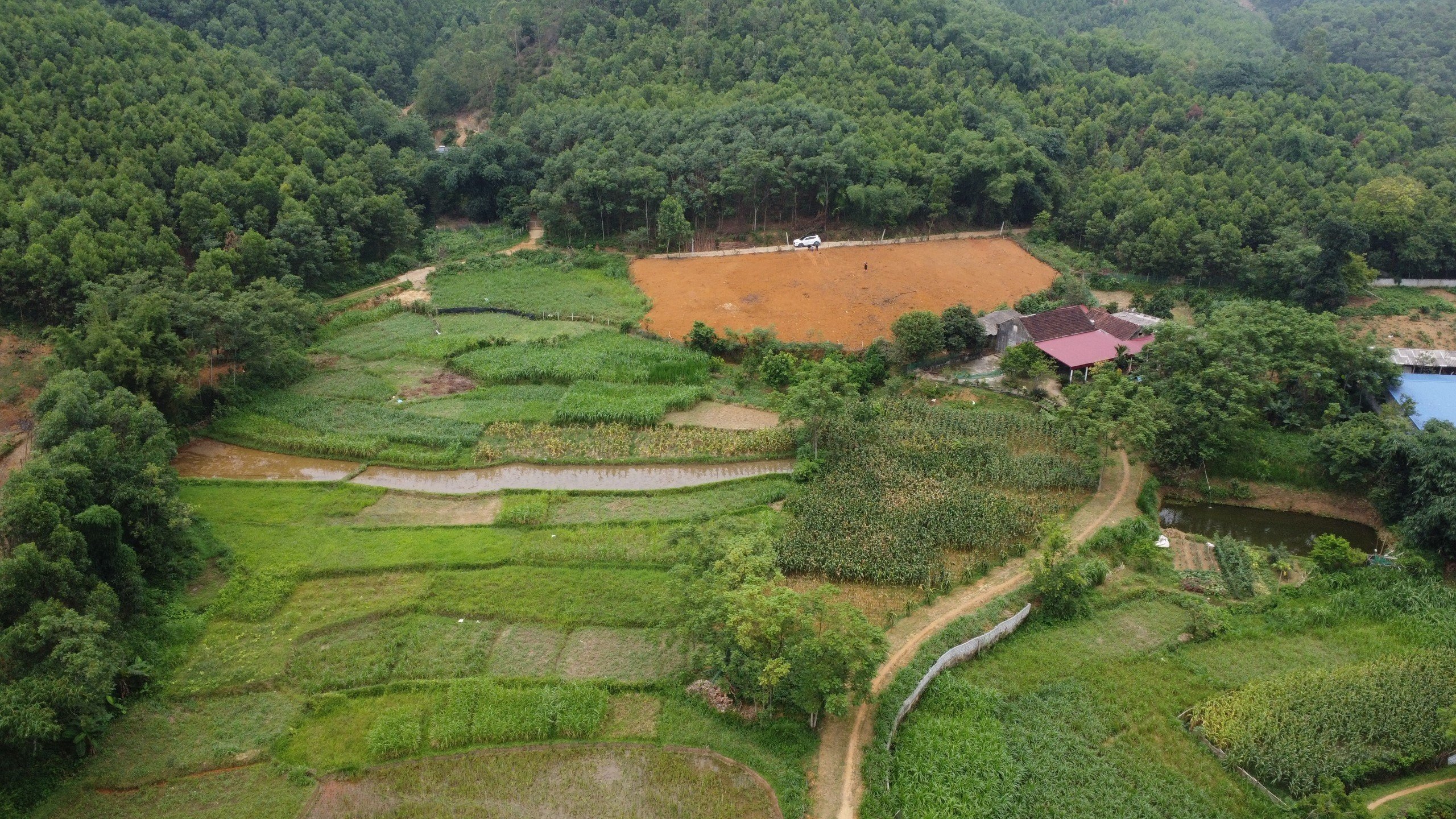 Cần bán Đất Thanh Sơn, Phú Thọ, Diện tích 1215m², Giá Thương lượng 6