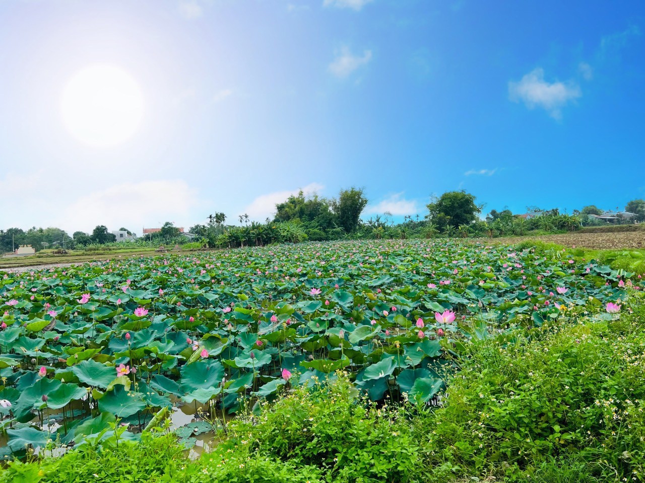 GIÁ SIÊU LỜI - Bán nhanh lô mặt tiền view hồ sen ven Đà Nẵng/CC ngay 4