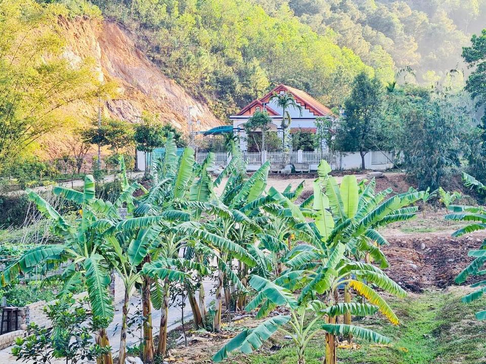 Gia đình cần nhượng lại khu đất nghỉ dưỡng diện tích hơn 1600m2 tại Phường Việt Hưng, Tp. Hạ Long.