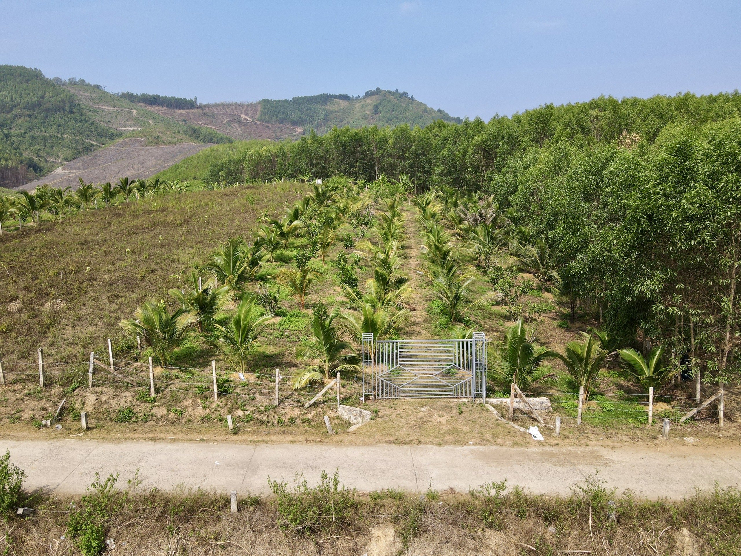 Bán đất vườn Khánh Nam sát Tỉnh Lộ 8B có sẵn cây trái 2