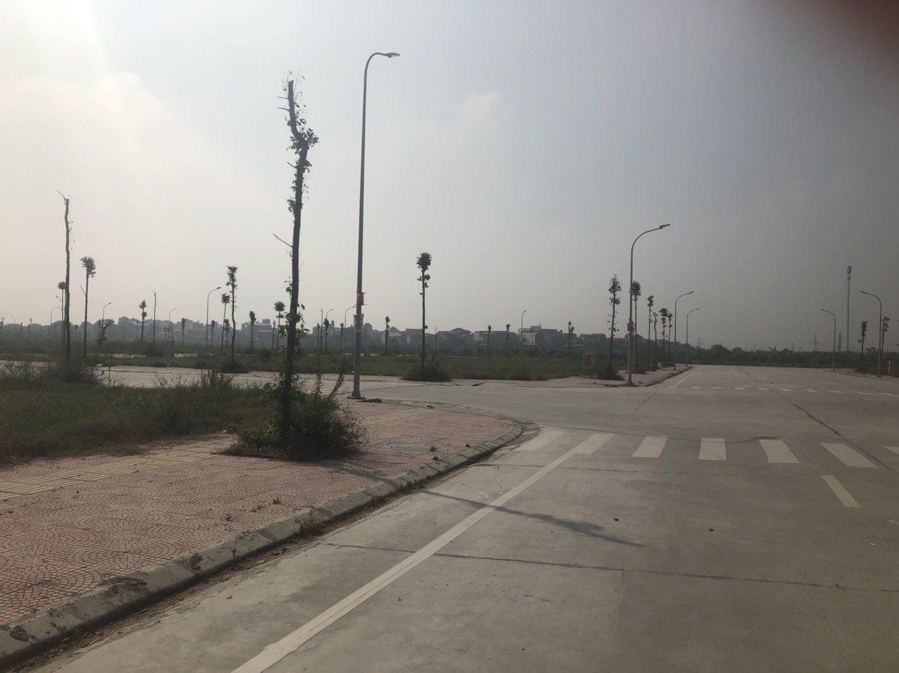 Cần bán Đất Từ Sơn, Bắc Ninh, Diện tích 110m², Giá Thương lượng 4