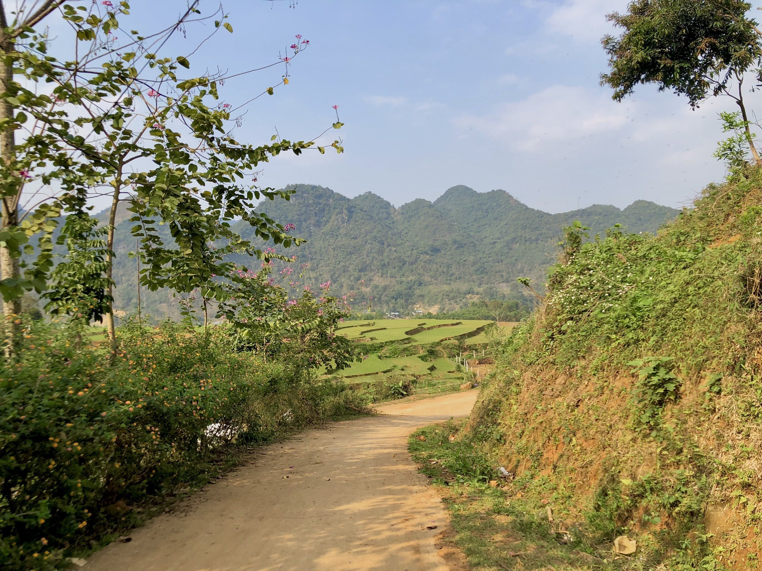 Cần bán Đất Xã Tú Sơn thổ cư nhiều gần 2000m² view đỉnh, Giá 2.2 Tỷ 7