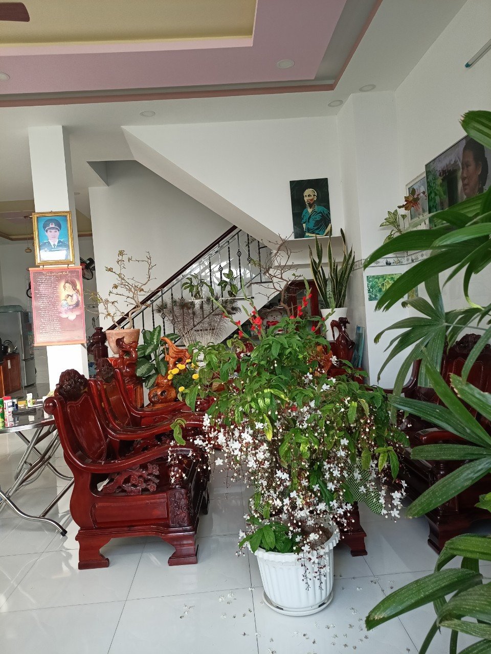 Cần bán Nhà mặt tiền đường Vân Đồn, Phường Phước Hòa, Diện tích 135m², Giá 13.5 Tỷ