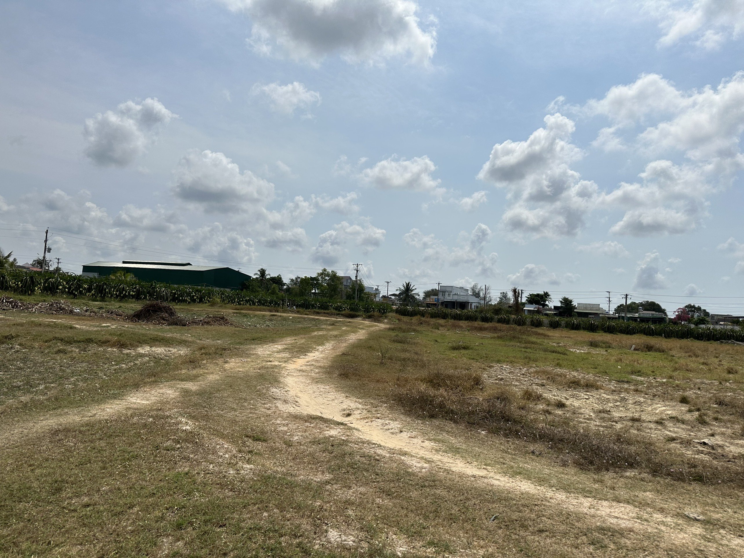 Cần bán Đất đường Lê Thánh Tôn, Xã Tân Hải, Diện tích 408m², Giá 1 Tỷ 5