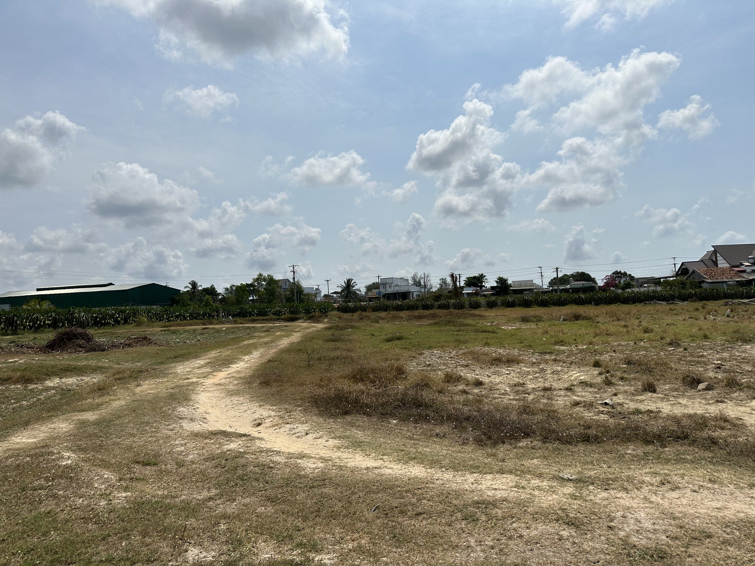 Cần bán Đất đường Lê Thánh Tôn, Xã Tân Hải, Diện tích 408m², Giá 1 Tỷ 7