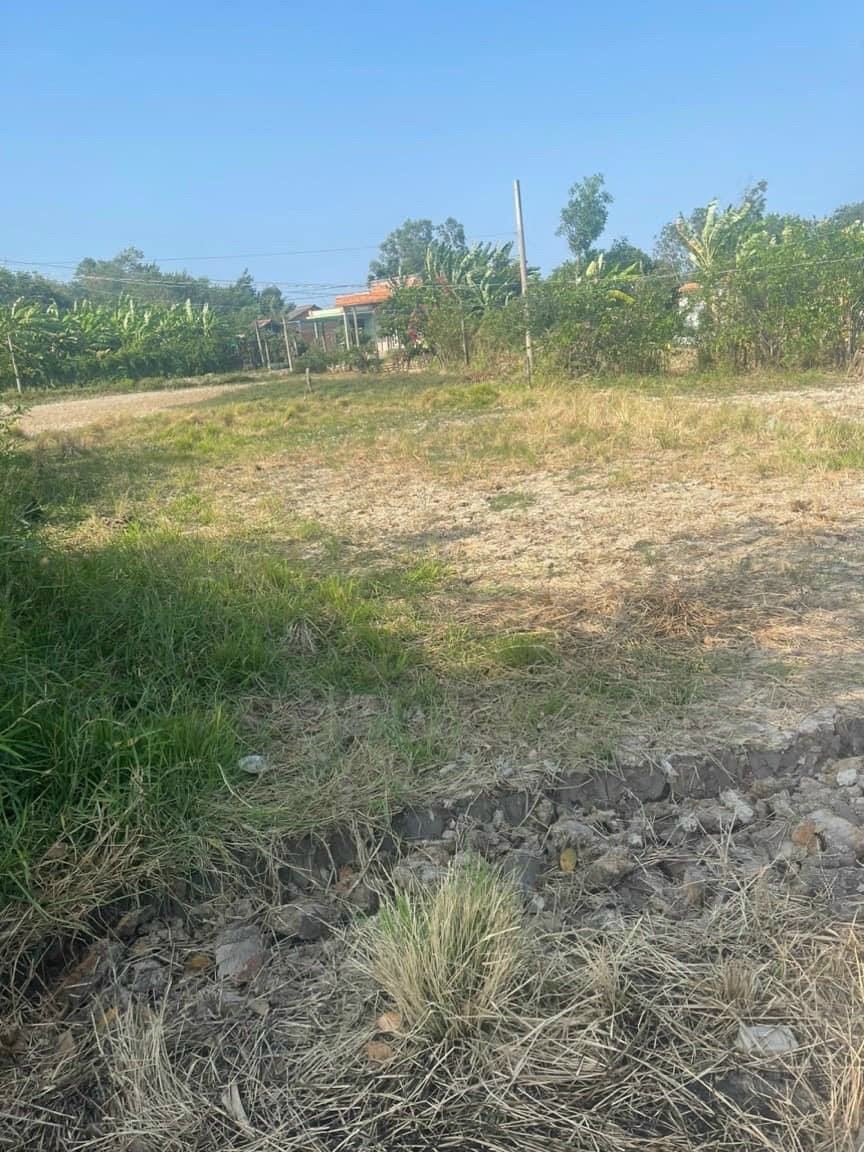 Cần bán Đất đường Hồ Văn Huê, Xã Phước Tuy, Diện tích 232m², Giá Thương lượng 4