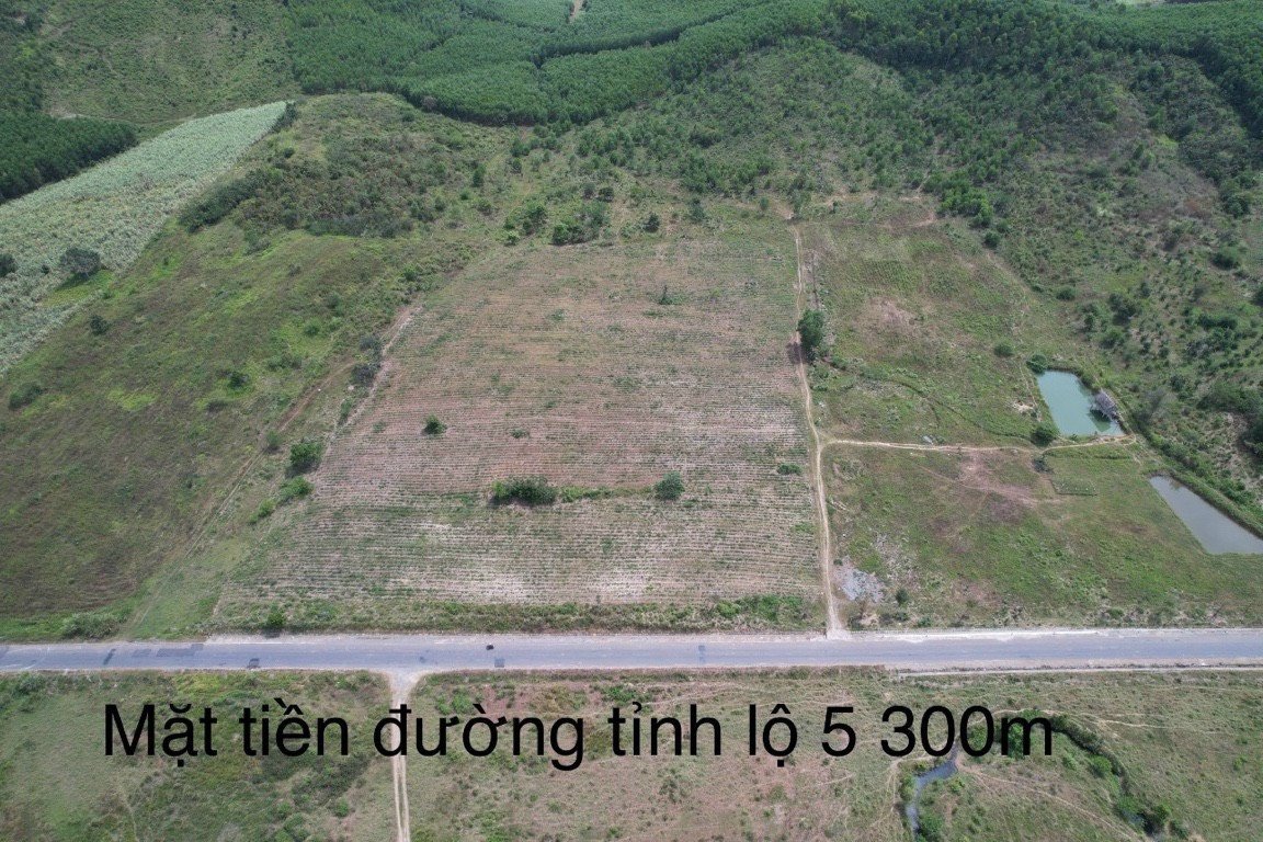 Bán 8,3 ha lô góc mặt tiền đường TL5 Ninh Hòa - Gần cụm quy hoạch KCN