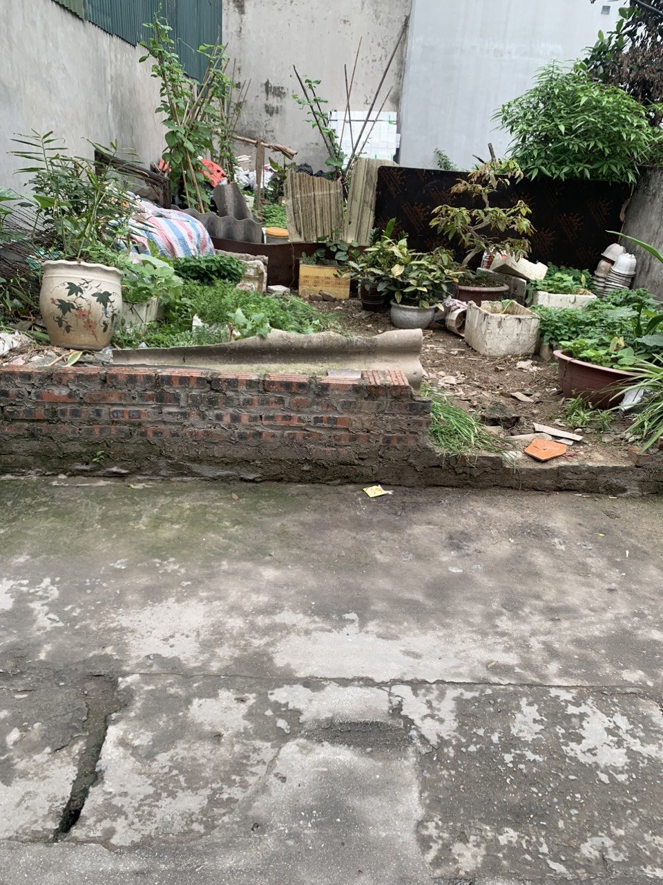 CHỦ BÁN GIÁ SỐC CHỈ 39TR ĐẤT NGỌC CHI – VĨNH NGỌC, LH NGAY 0983099386 2