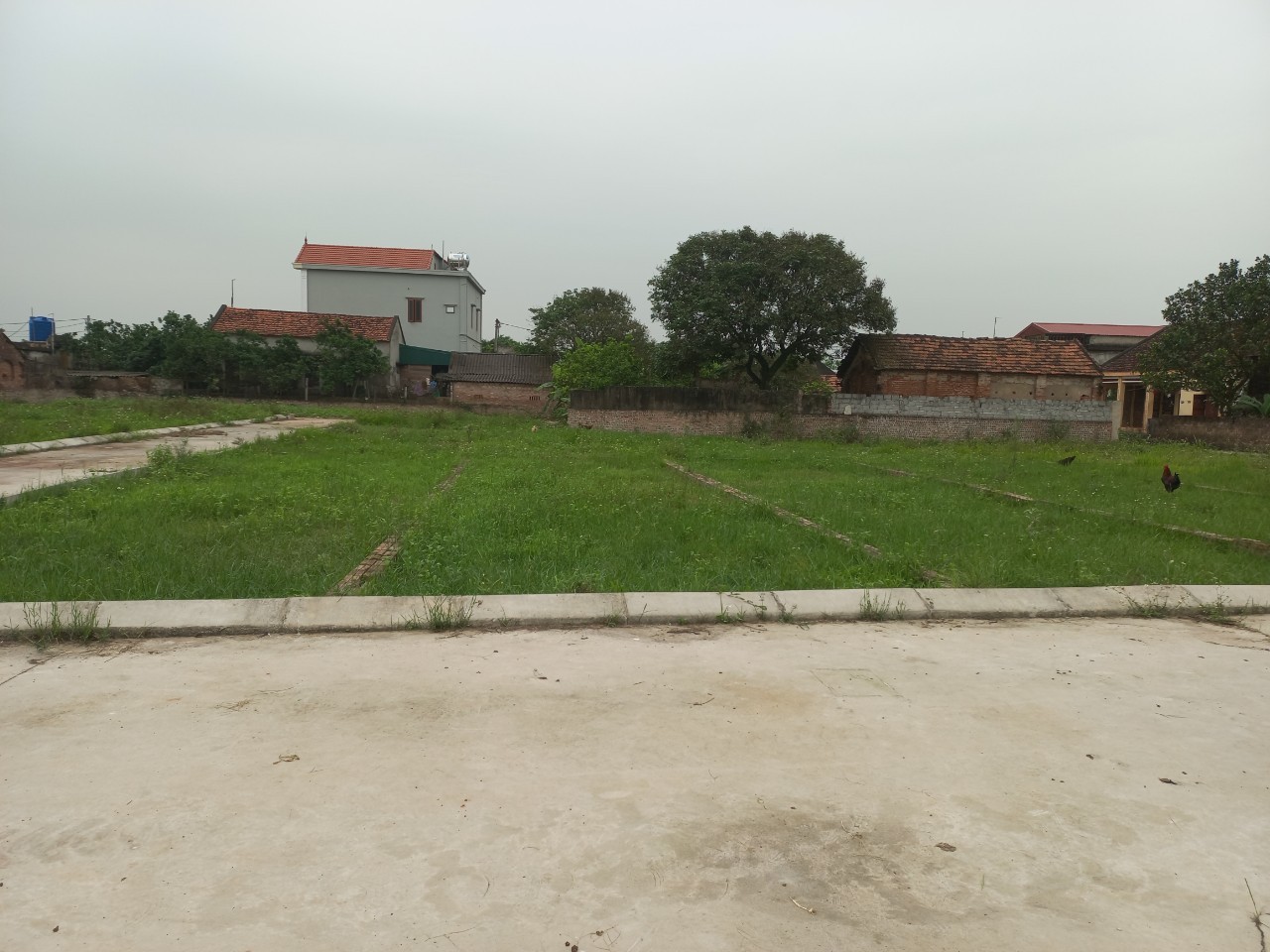 Bán đất Kim Động, gần Thành Phố  Hưng Yên 5