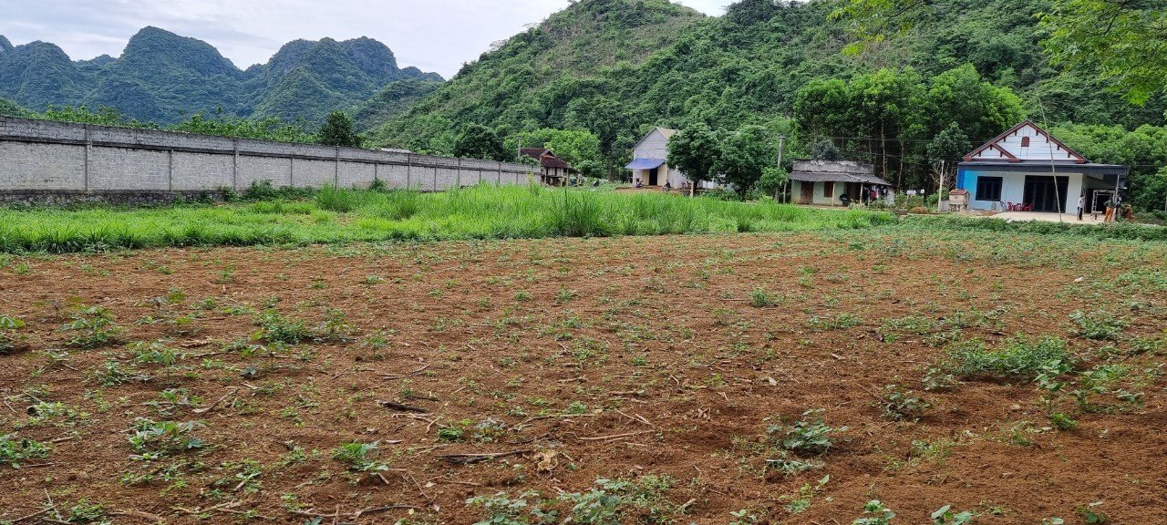 Cần bán Đất Xã Bảo Hiệu, Yên Thủy, Diện tích 812m², Giá 320 Triệu 6