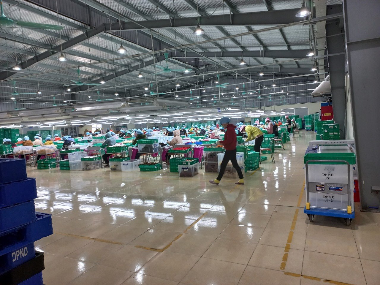 TRANSFER OF THE ENTIRE FACTORY in NAM DINH PROVINCE/