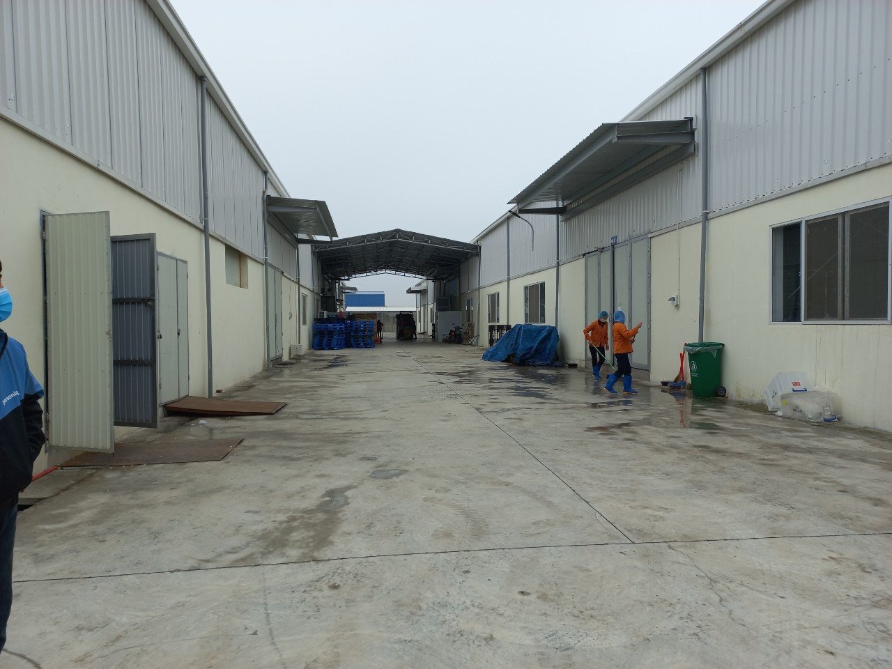 TRANSFER OF THE ENTIRE FACTORY in NAM DINH PROVINCE/ 3