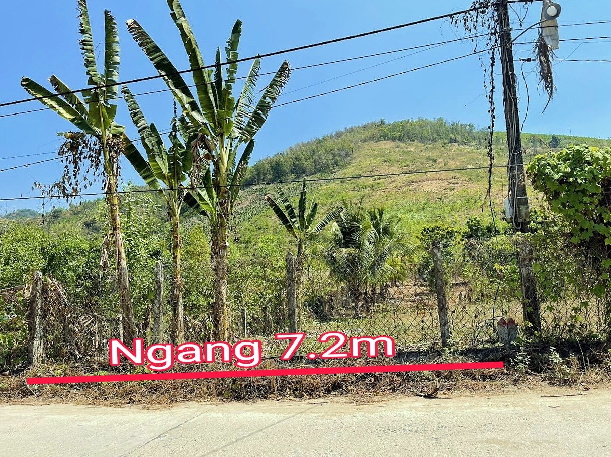 Bán đất Diên Tân ngay trung tâm xã sát bên Hương Lộ 62 2