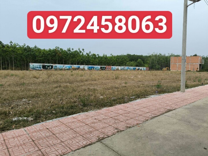Cần bán Đất đường DH504, Xã An Bình, Diện tích 300m², Giá Thương lượng 1