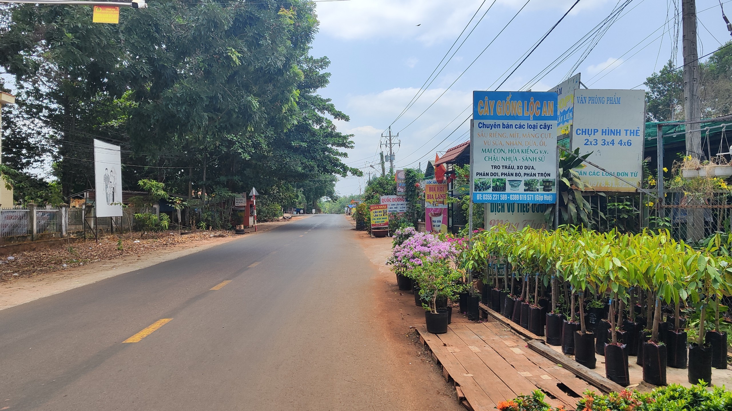 Bán gấp lô đất ngay trung tâm thị trấn Lộc Ninh, đường nhựa 18m, 300m2 thổ cư 100m2 giá chỉ 320tr 1