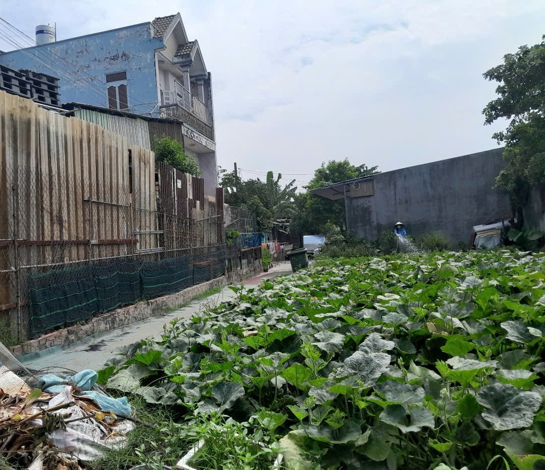 Đất Lô Góc 188m2 có 6 tỷ x Mặt tiền Đông Thạnh Hóc Môn Hồ Chí Minh. 2