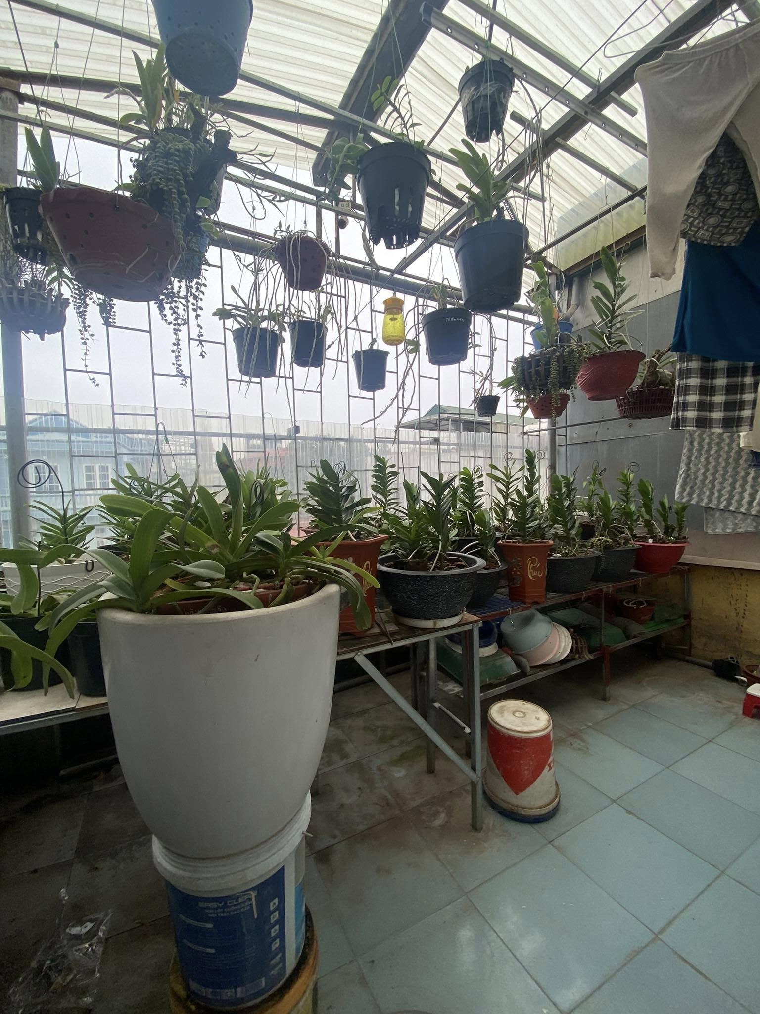 Cực Hiếm Đầu Tư Sinh Lời Phố Trần Khát Trân - Bán Đất Tặng 2 Nhà Xây 4 Tầng, 5