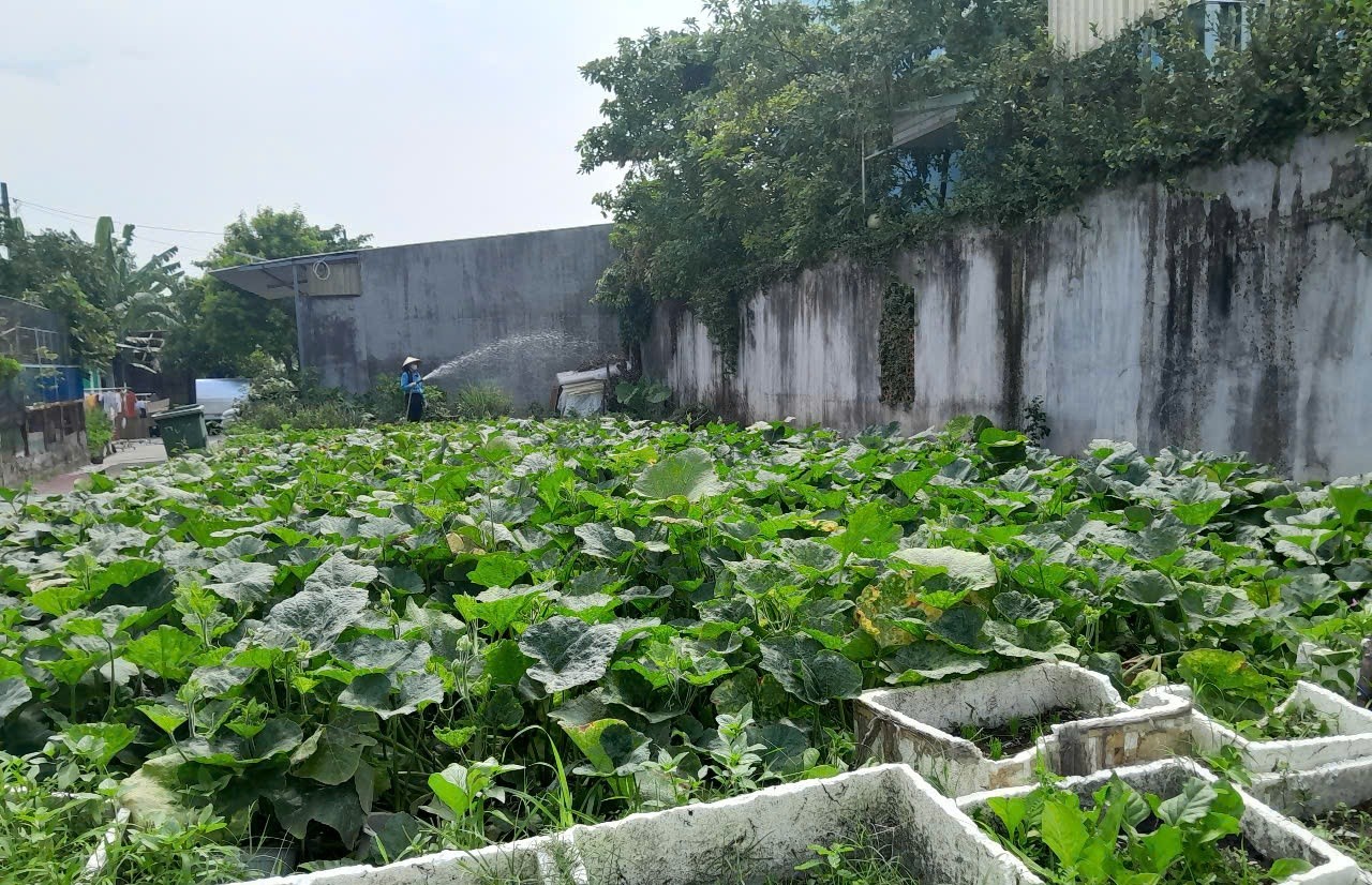 Đất Lô Góc 188m2 có 6 tỷ x Mặt tiền Đông Thạnh Hóc Môn Hồ Chí Minh. 3