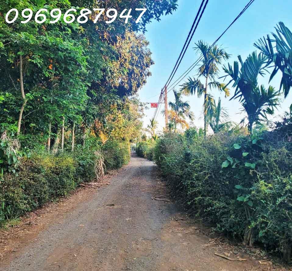 CƠ HỘI ĐẦU TƯ – 1.3HA GIÁ CHỈ 650 TRIỆU/SÀO! CUÔR ĐĂNG GIÁP HÒA THUẬN-BUÔN MATHUỘT - ĐĂK LĂK 3