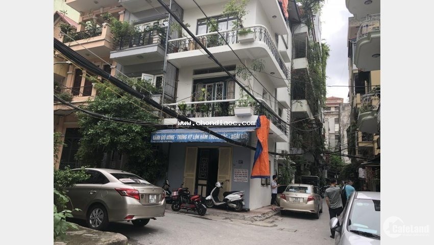 Nhà Trần Hưng Đạo Ô TÔ Tránh 115M2 8 Tầng Mặt Tiền 7M 55 Tỷ
