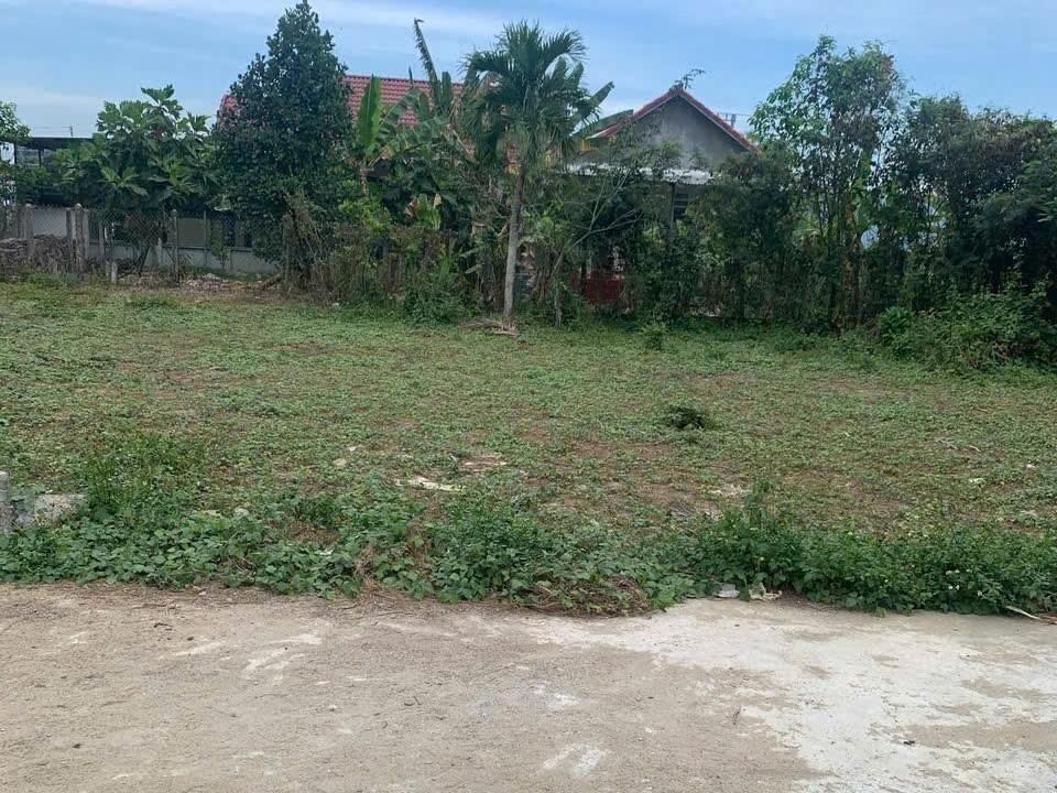 Bán đất Diên Lạc giá rẻ full thổ cư hẻm đường Tổ 2A gần Tỉnh Lộ 2 8