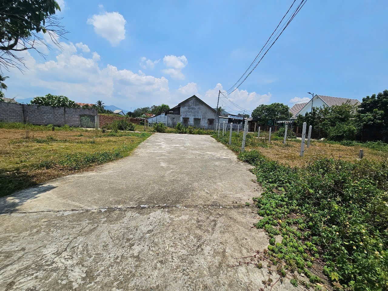 Bán đất Diên Lạc giá rẻ full thổ cư hẻm đường Tổ 2A gần Tỉnh Lộ 2 6